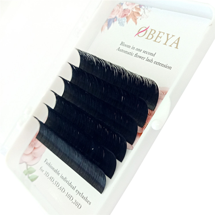 Easy Fans Silk Eyelash Extensiosn 2D20D Blooming Volume Eyelash